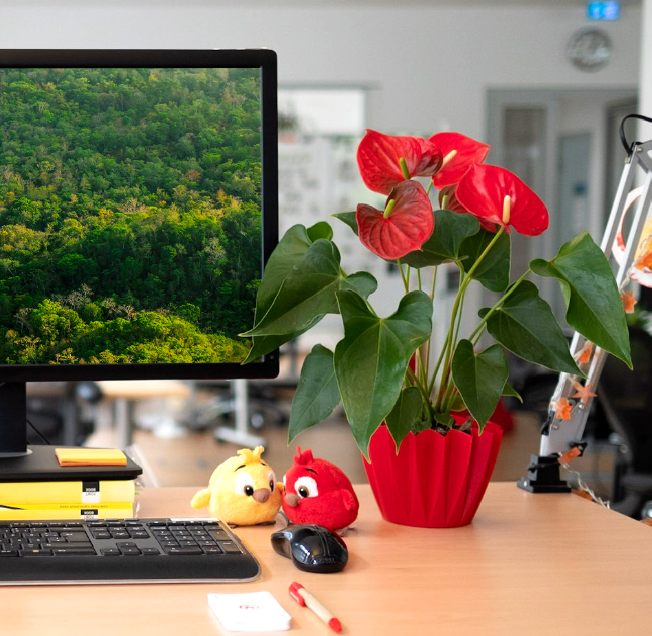 a blooming potted plant, a tidy clean desk, two plush fluffy birds, on the right hand side of the screen a green healthy forest